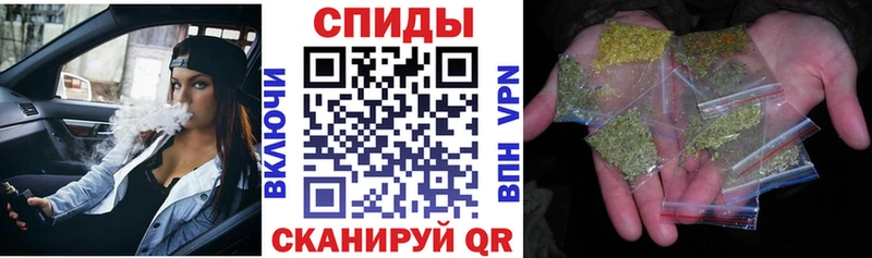 закладки  Маркс  Бутират буратино 