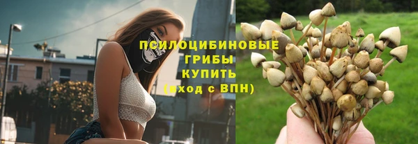каннабис Арсеньев