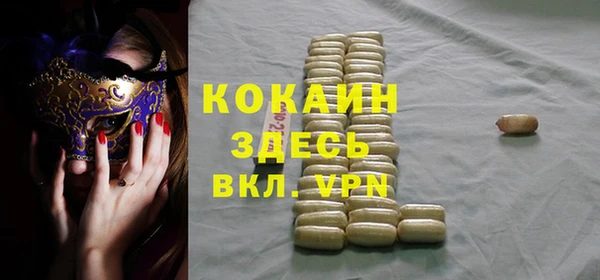 сатива Аркадак