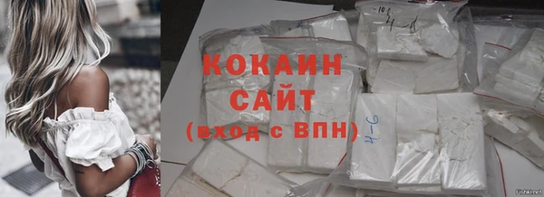 сатива Аркадак