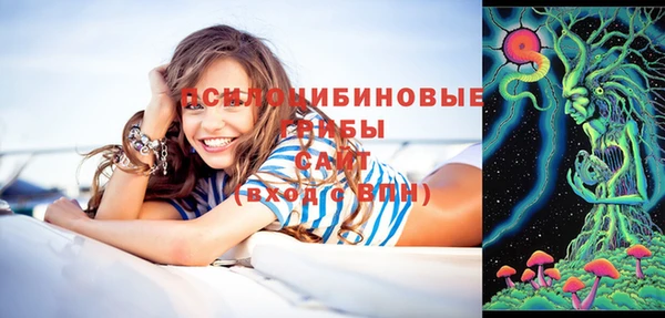 сатива Аркадак