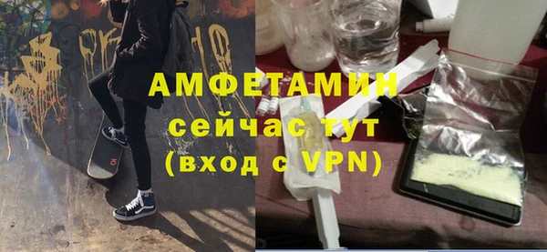 сатива Аркадак