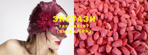 индика Покачи