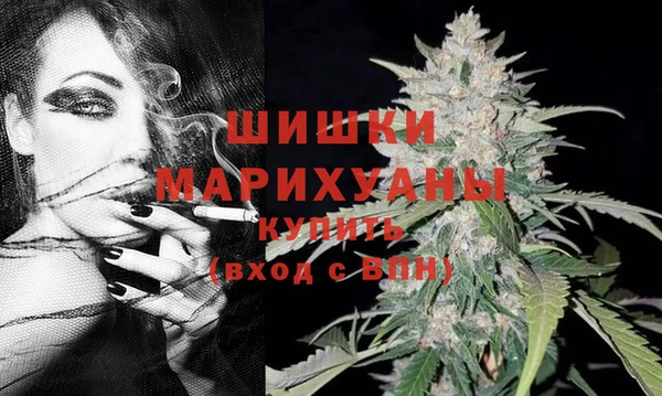 сатива Аркадак