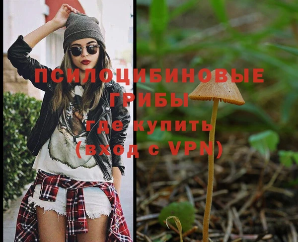 сатива Аркадак