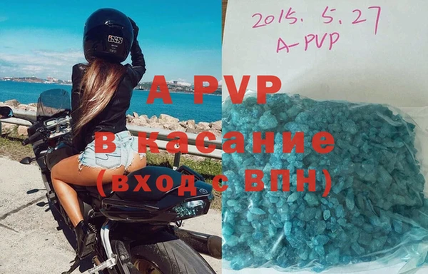 сатива Аркадак
